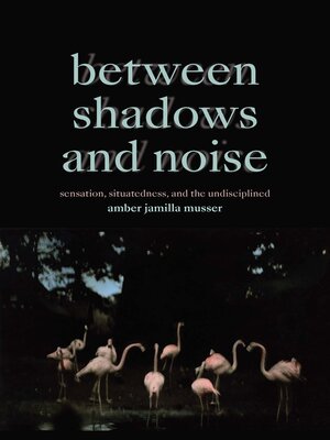 cover image of Between Shadows and Noise
